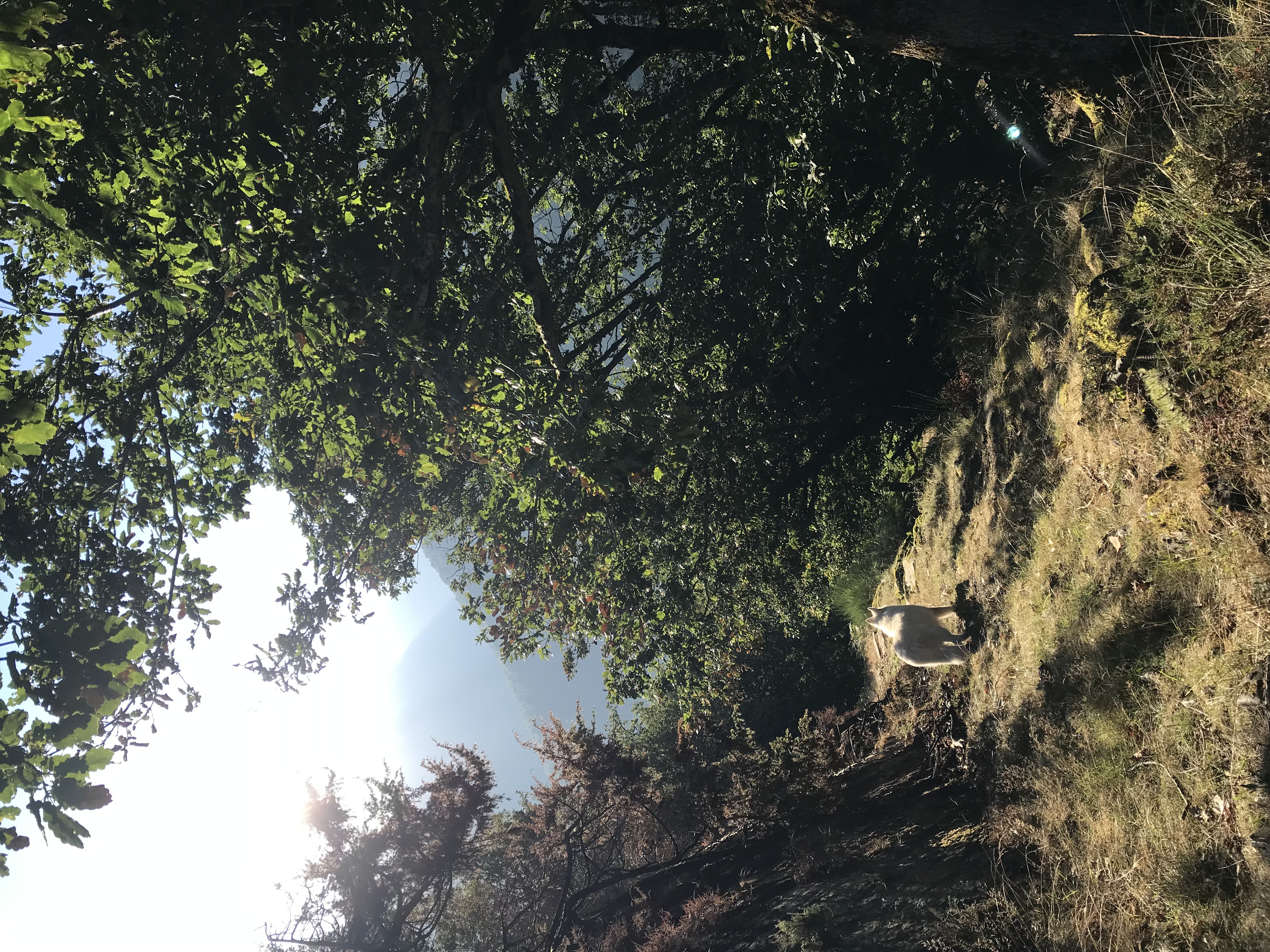 Melles750 sur Instagram et Facebook c'est terminé