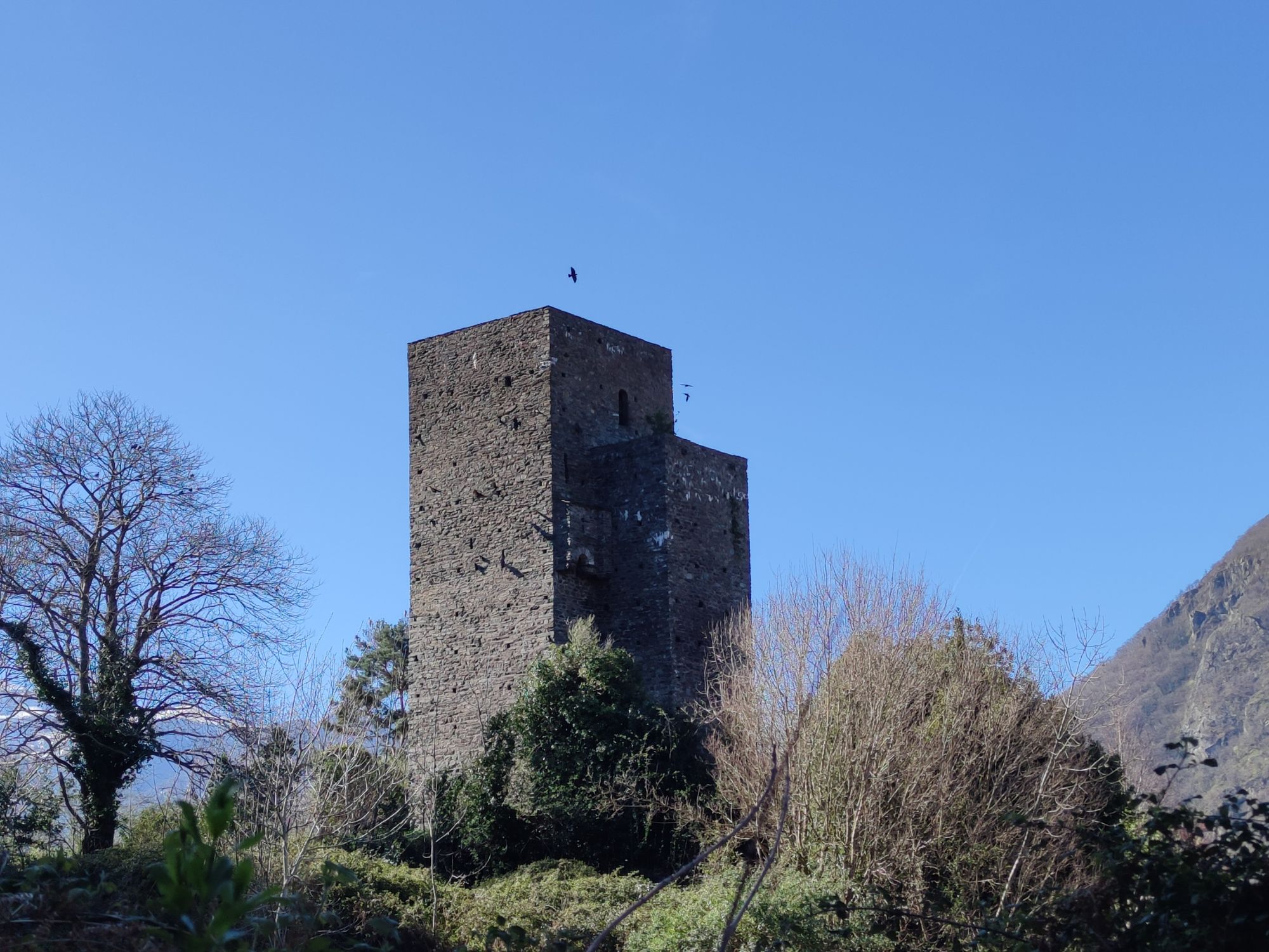 Randonnée de la tour de Fronsac (84)