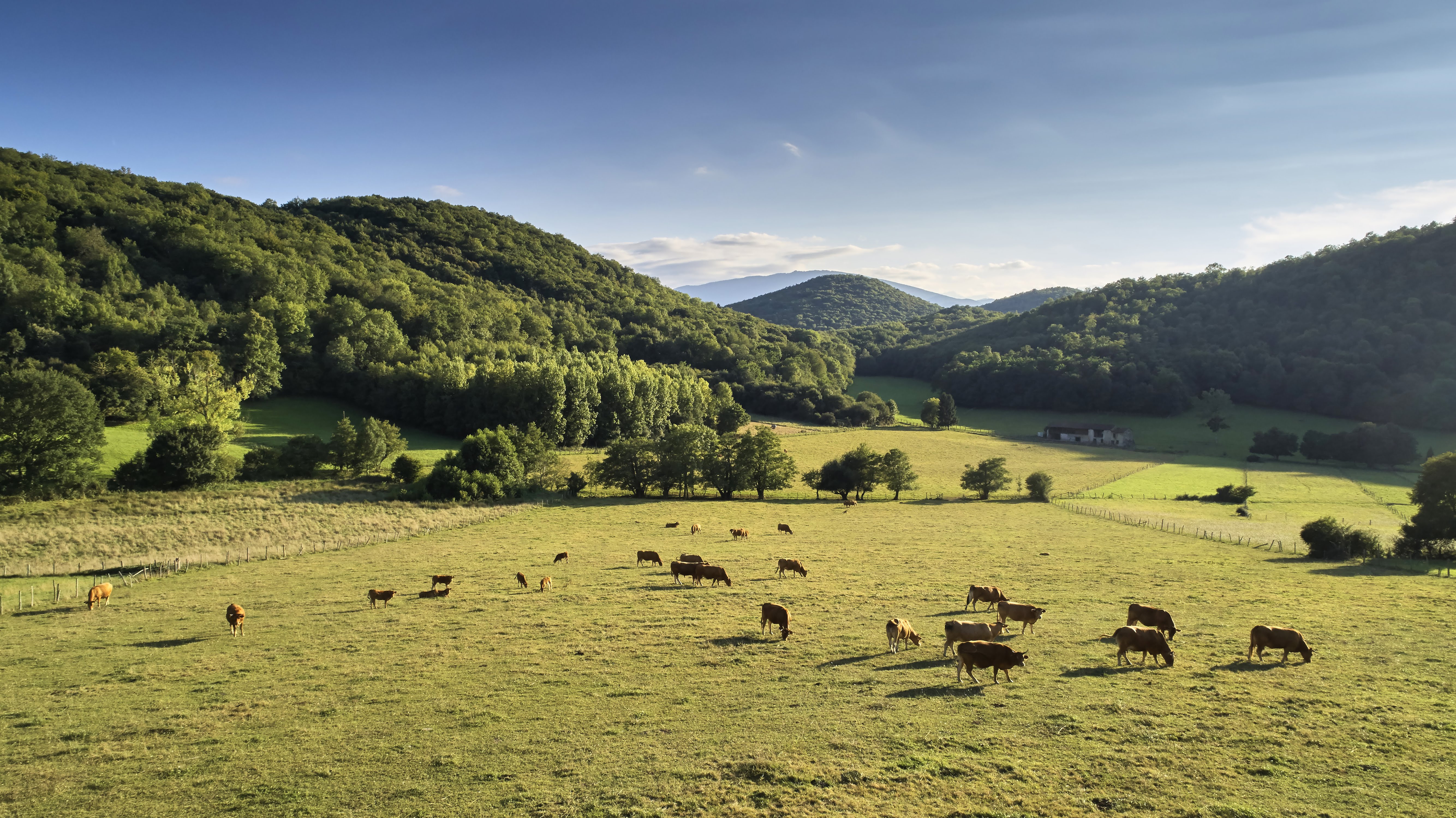 Comminges Pyrénées : destination authentique entre nature et patrimoine