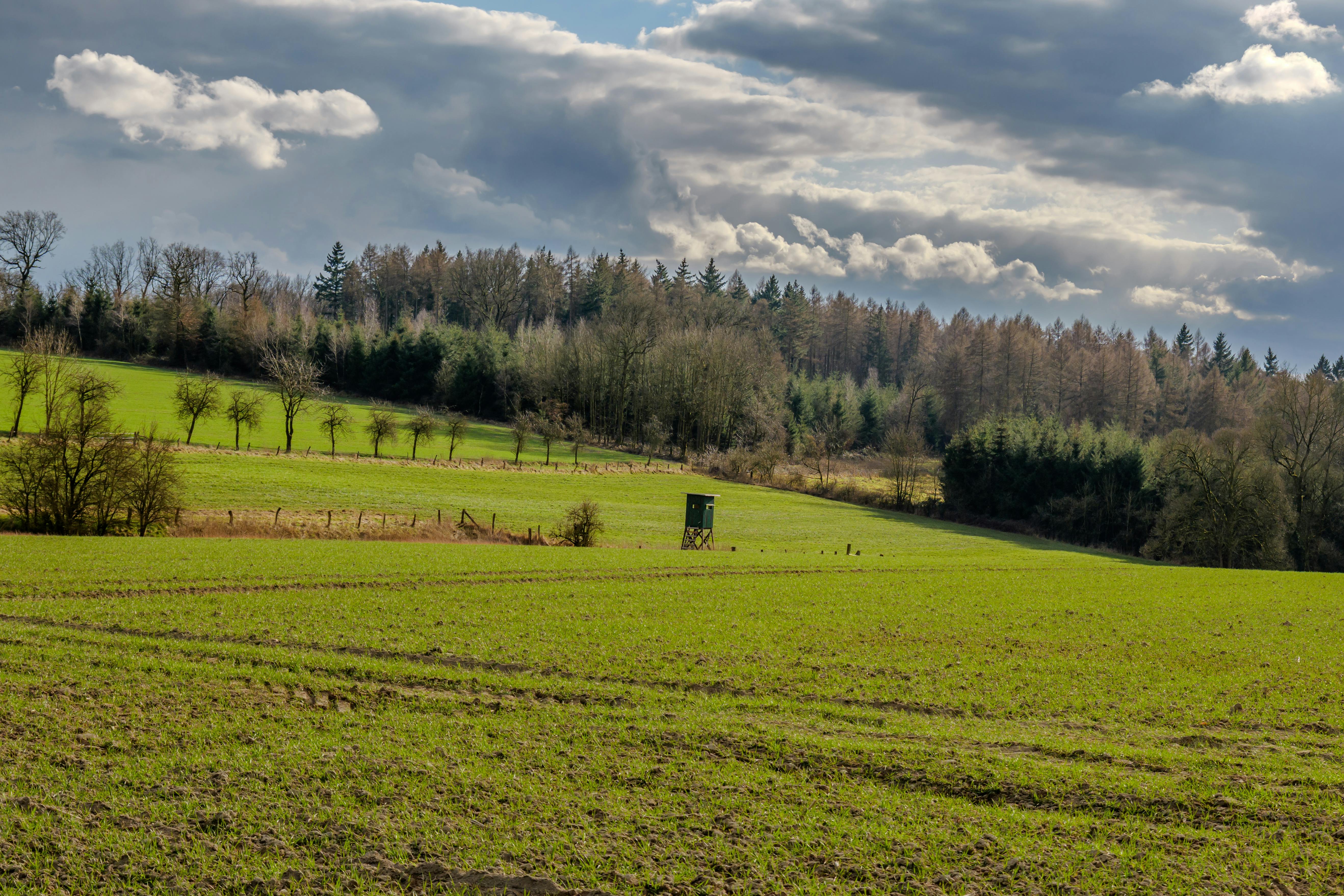 Salon Passion Grand Sud 2025 à Saint-Gaudens : événement incontournable de la chasse, de la nature et de la gastronomie