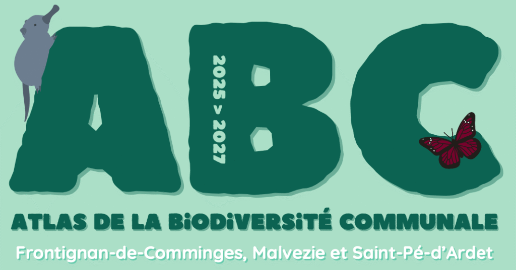 Atlas de la Biodiversité Communale des Frontignes : sortie botanique AREMIP samedi 6 juin à Frontignan-de-Comminges, agenda complet 2026