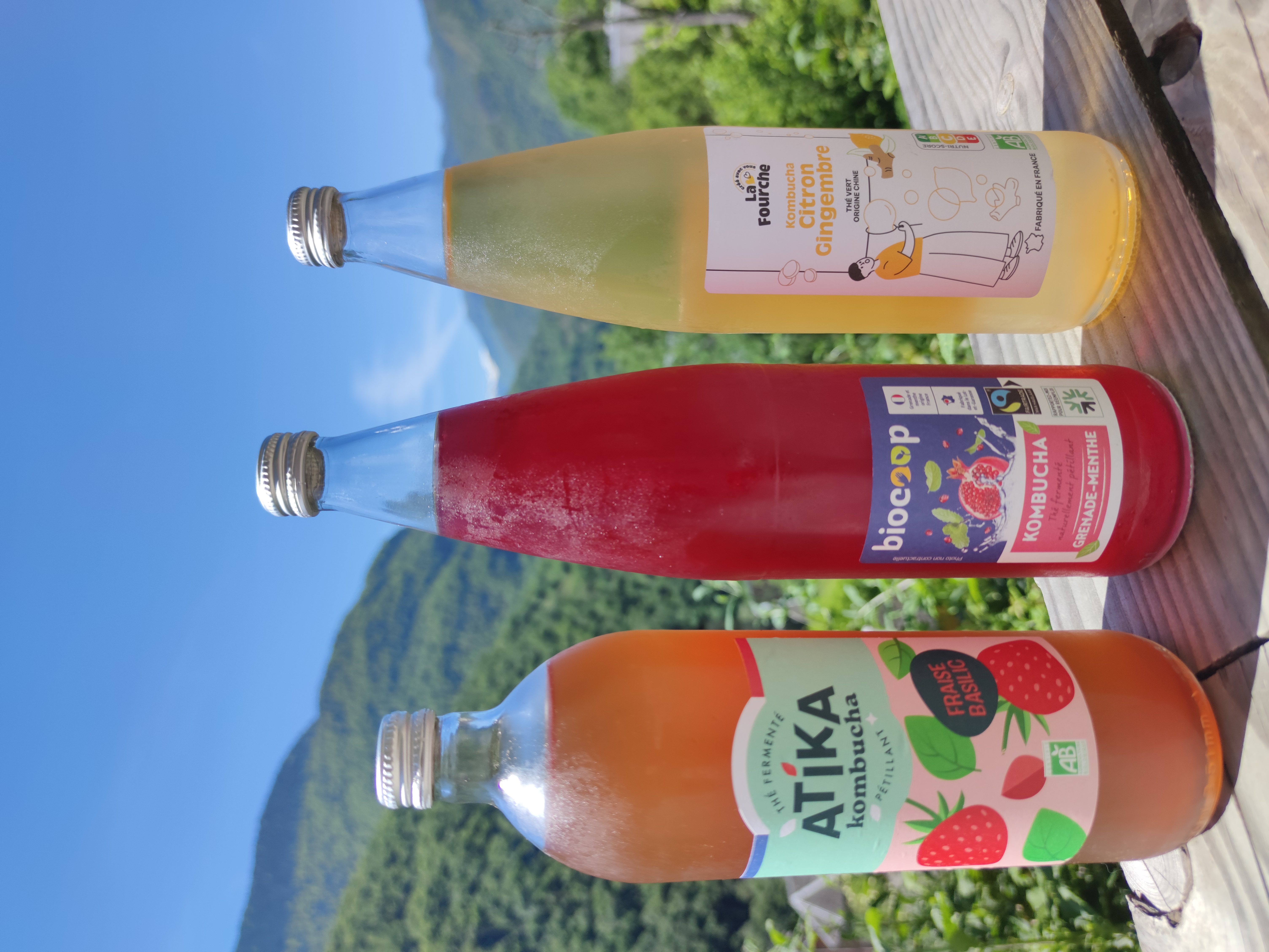 Kombucha mania de la culture du SCOBY à la bataille des rayons