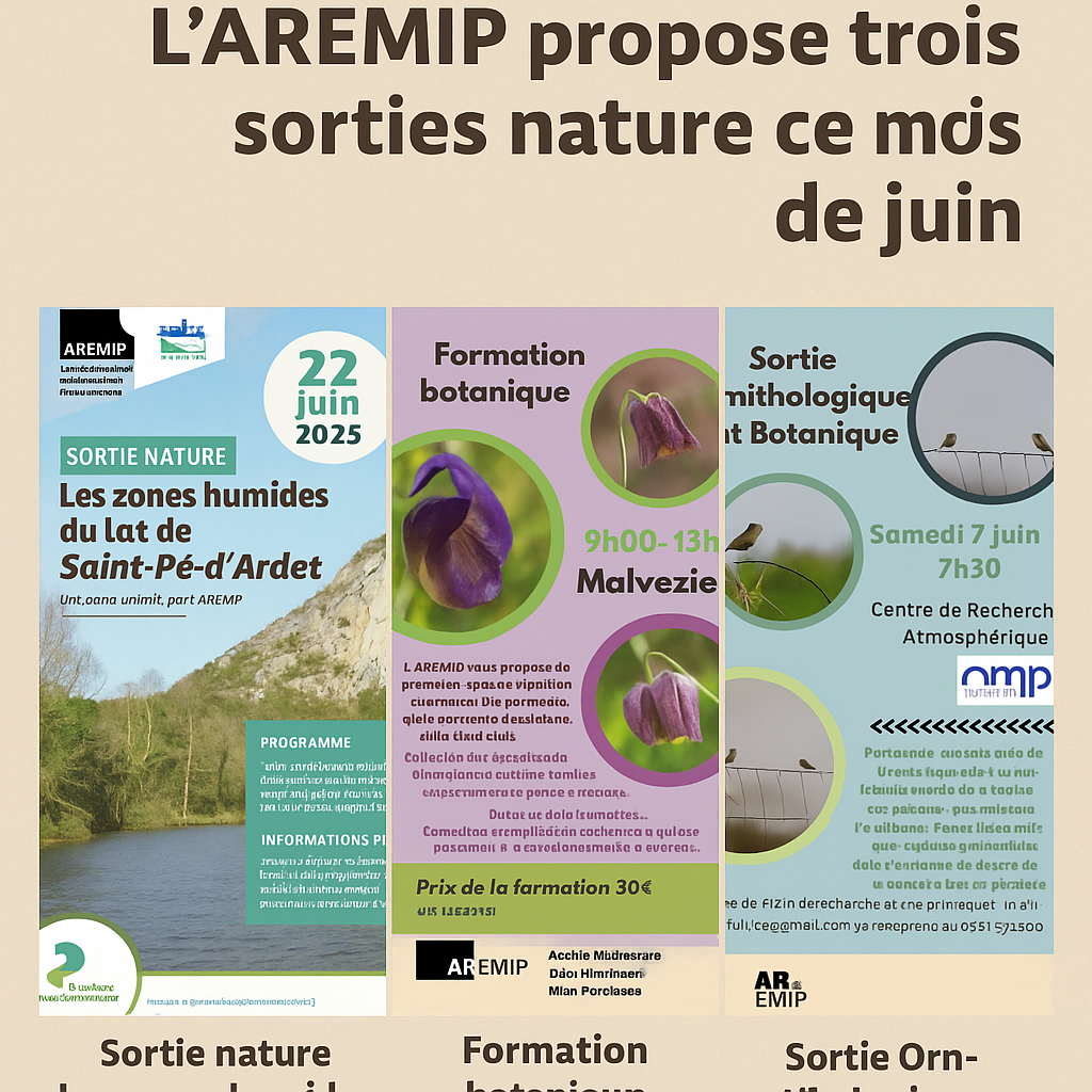 L'AREMIP propose trois sorties nature ce mois de juin