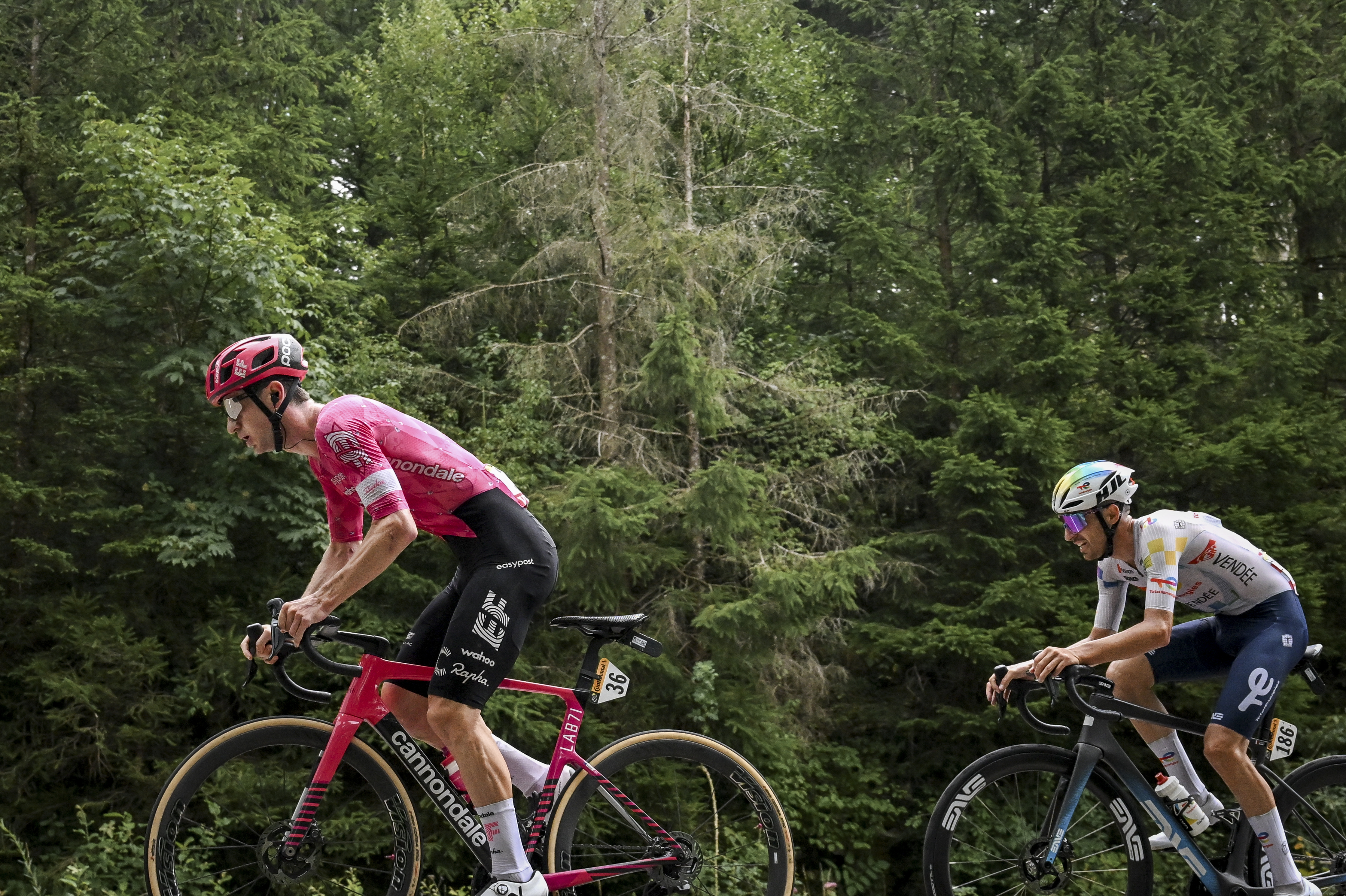 Etape 20 et classement général avant l'arrivée à Paris