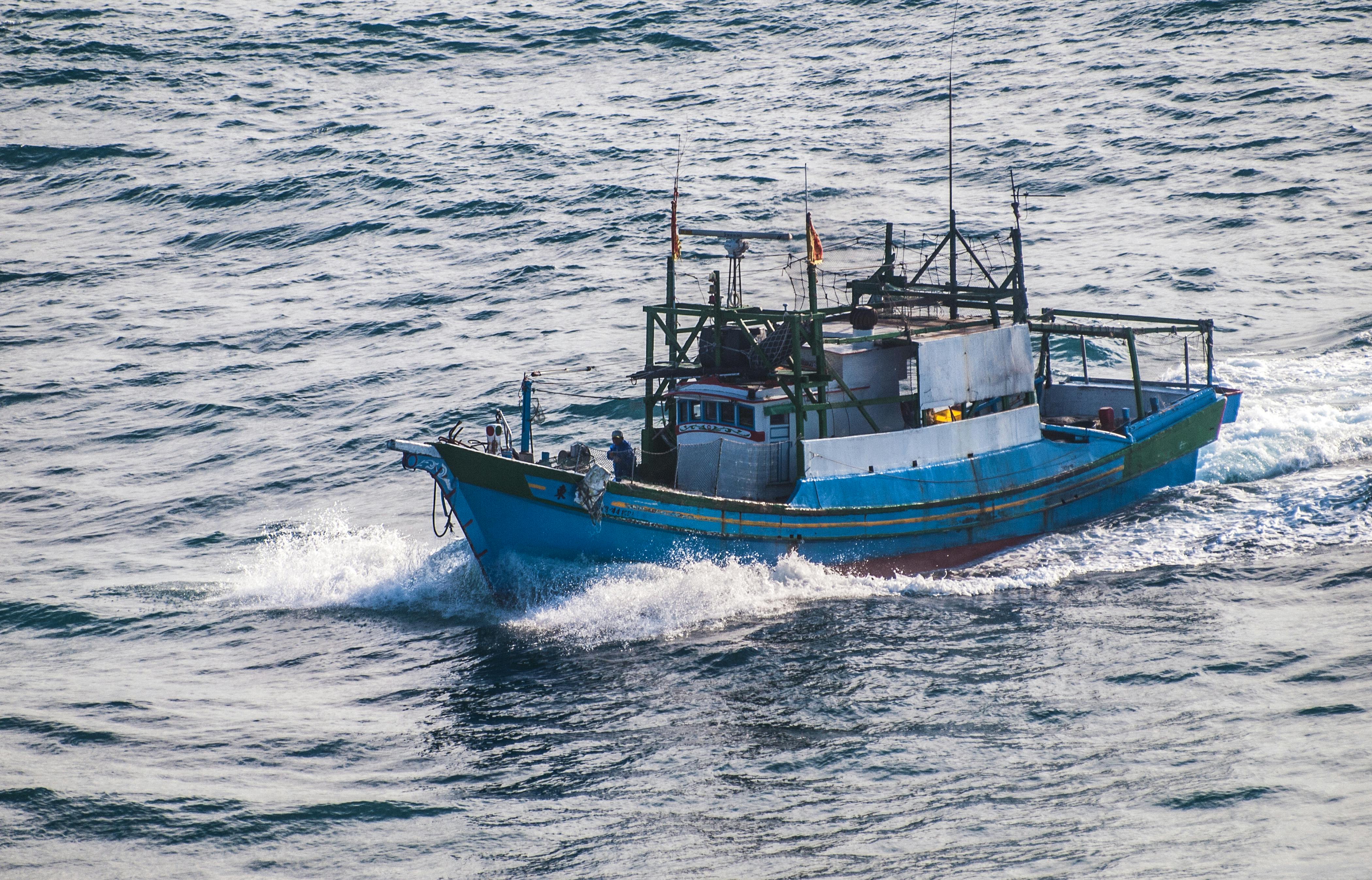 Poiscaille nage à contre-courant