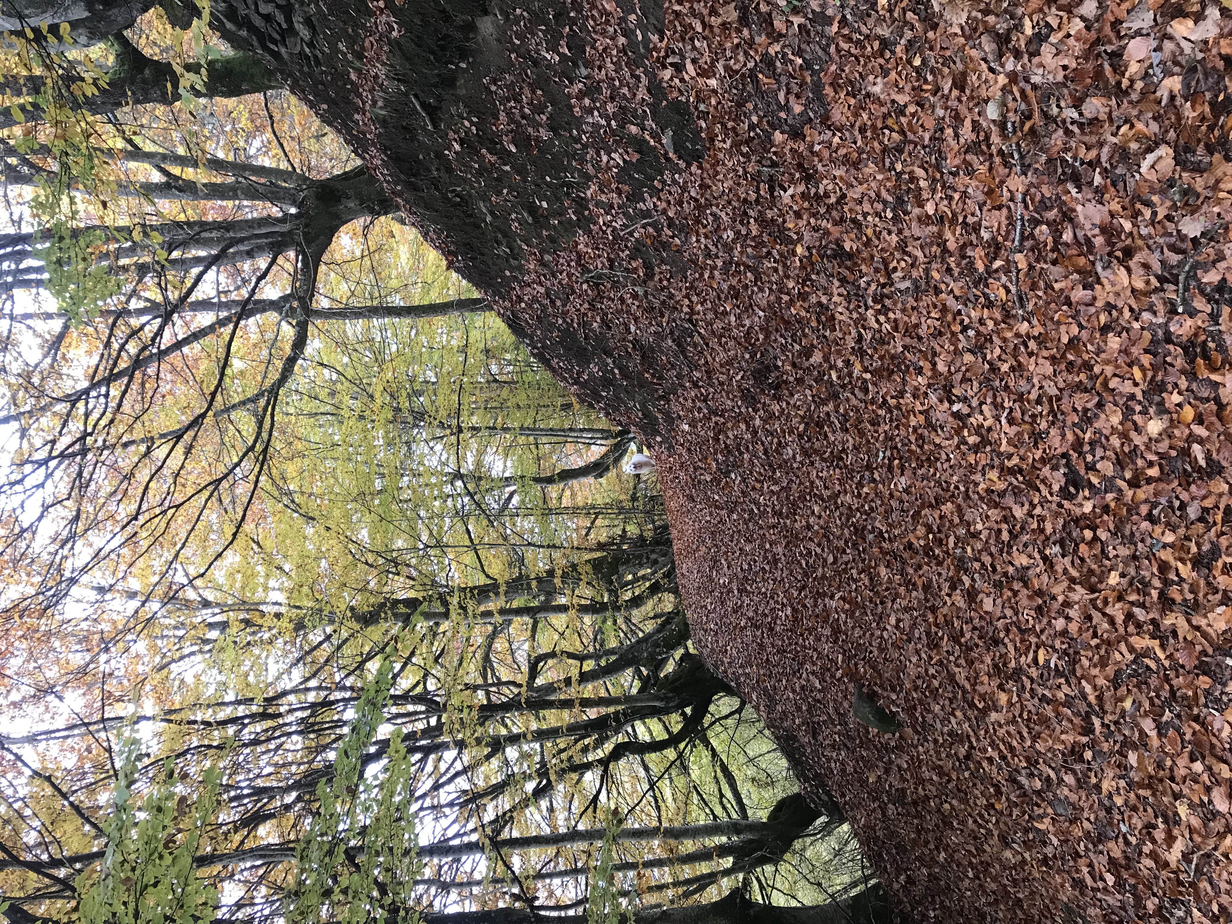 Luchon et ses escapades d'automne | Melles750.fr