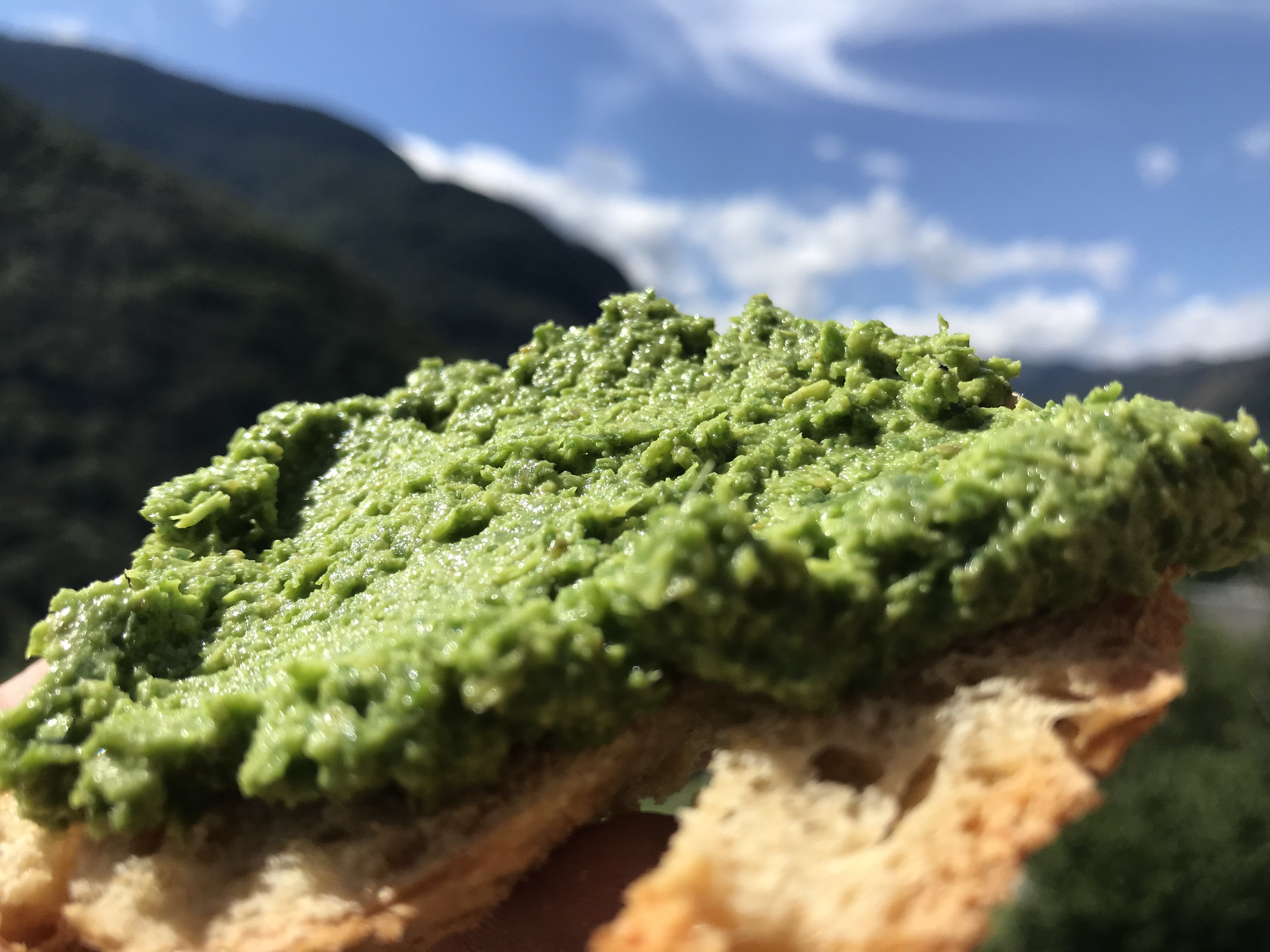 Recette de tartinable d'obione