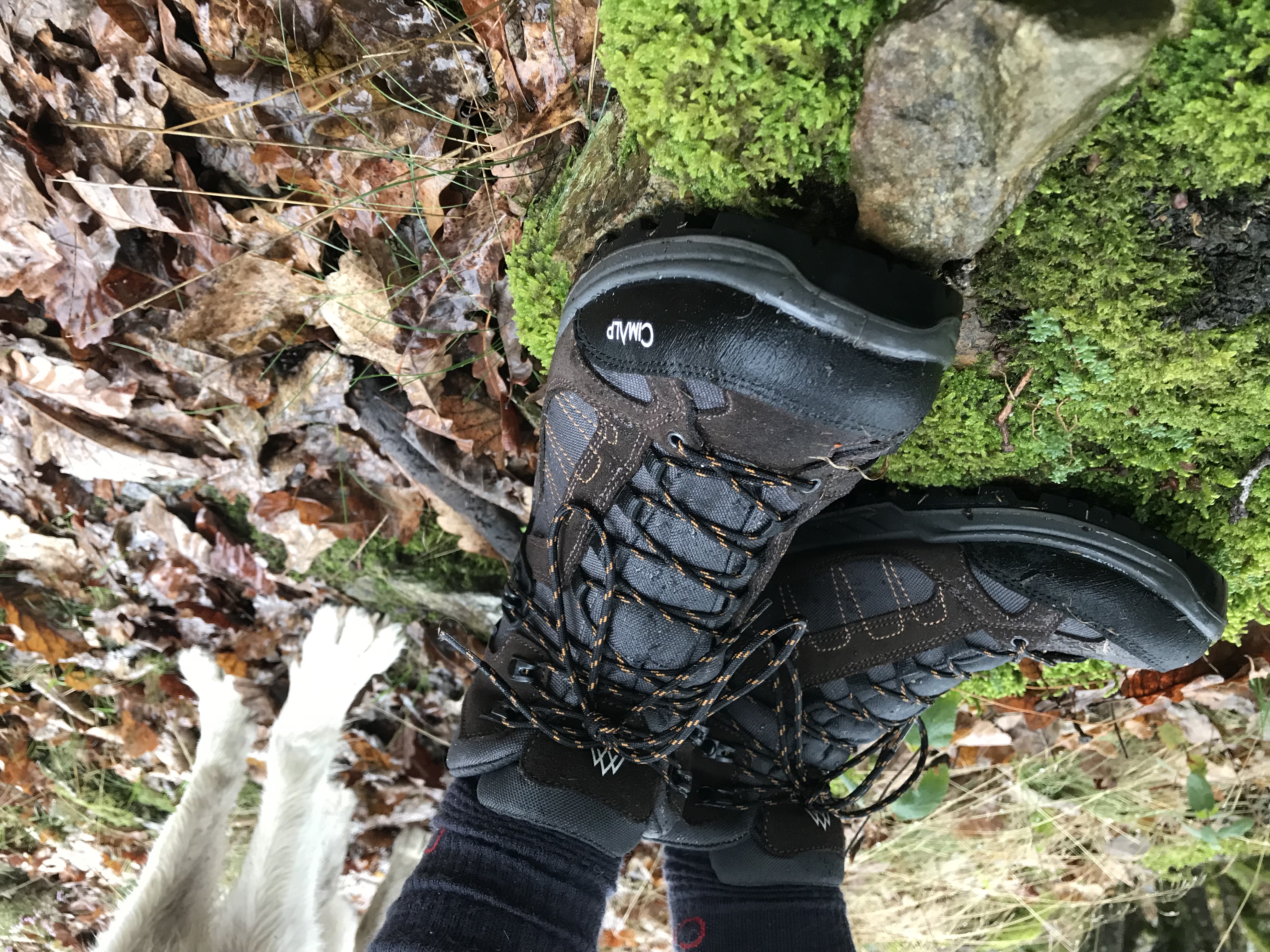 Chaussures de randonnée Cimalp Balme : l'automne à vos pieds
