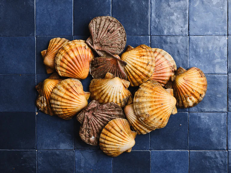 CODE PROMO PARRAINAGE POISCAILLE 15€