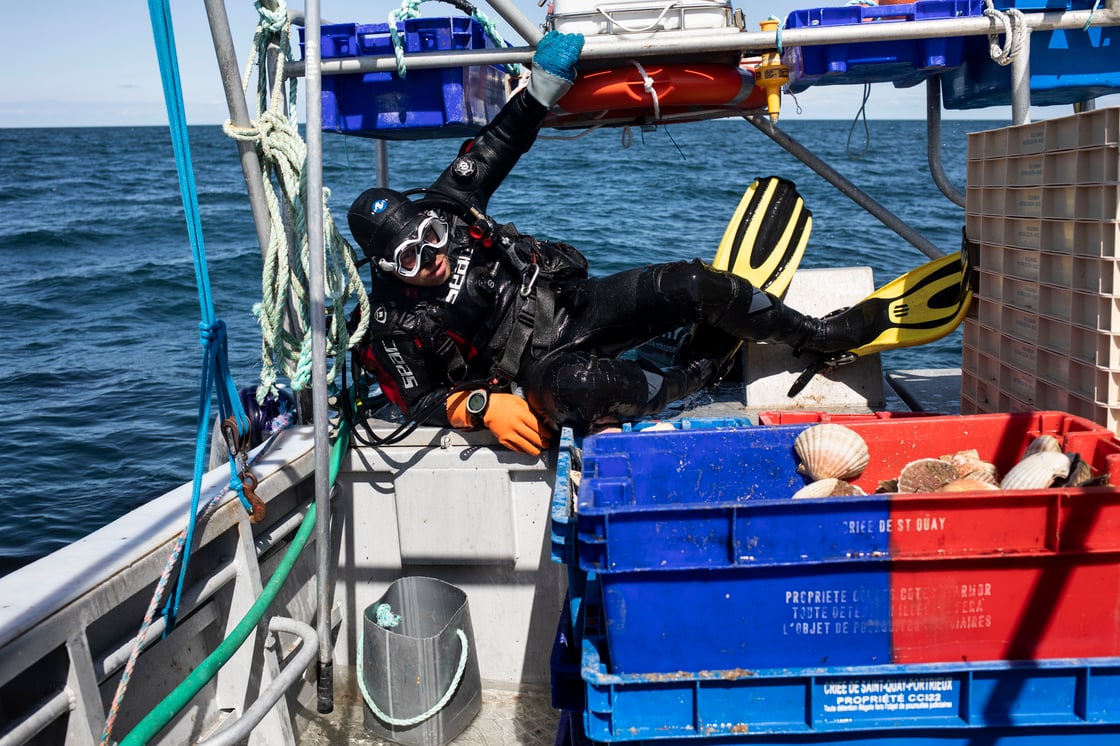 Le grand retour des coquilles Saint-Jacques chez Poiscaille
