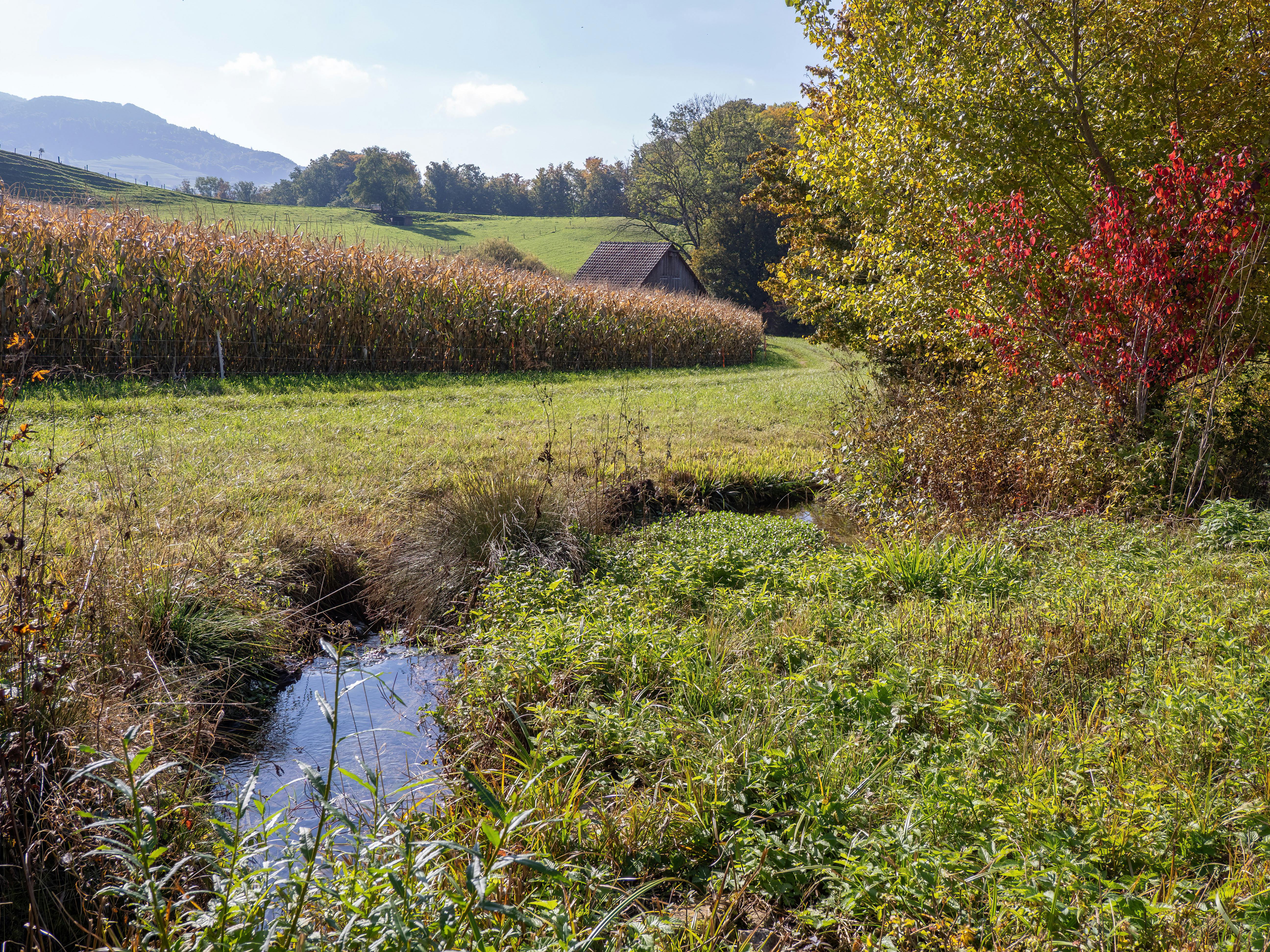 Le gouvernement taille encore dans les haies