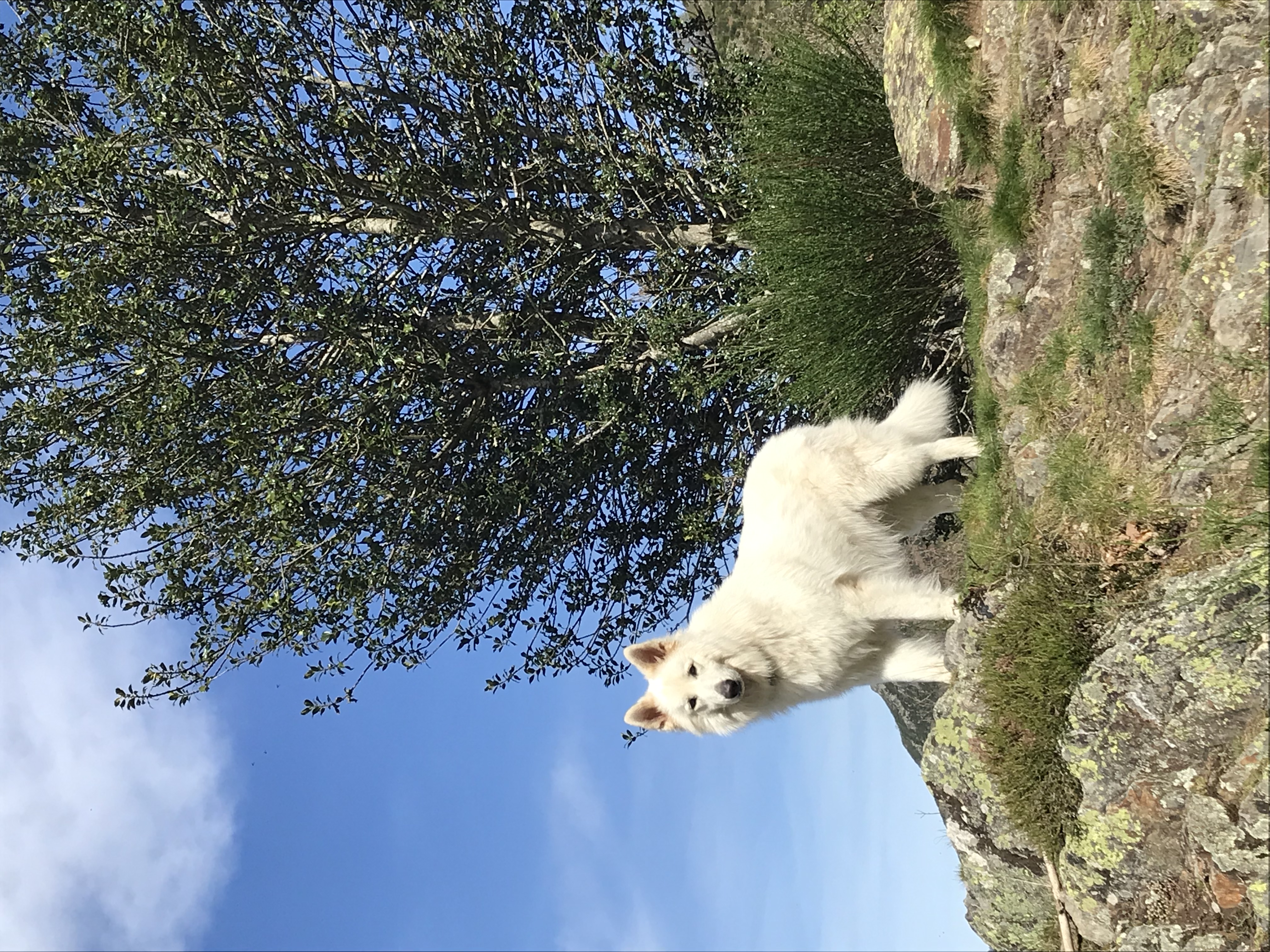 Marcher toutes les 30 minutes au bureau