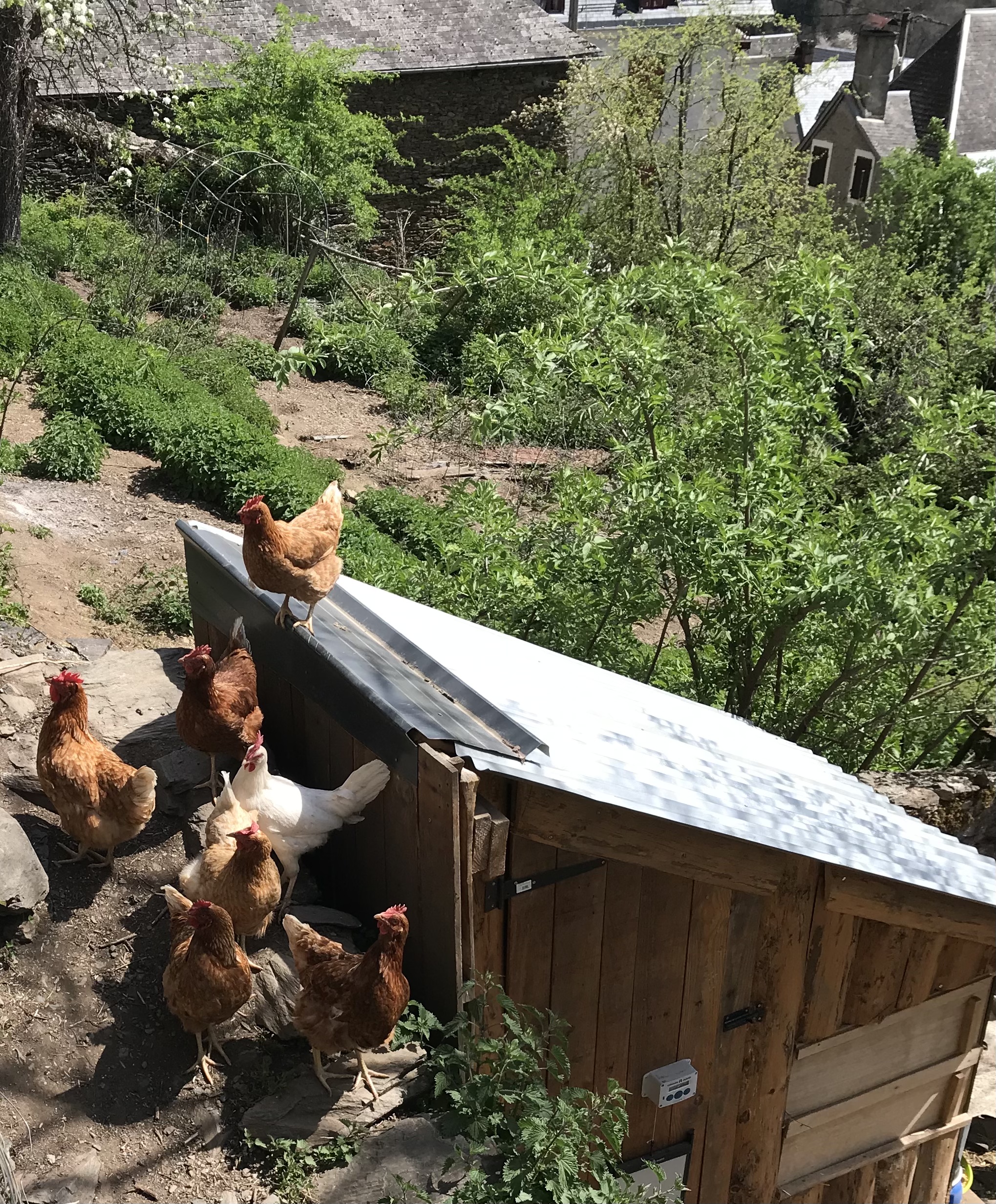 La cabane des crêtes et des œufs frais à Melles