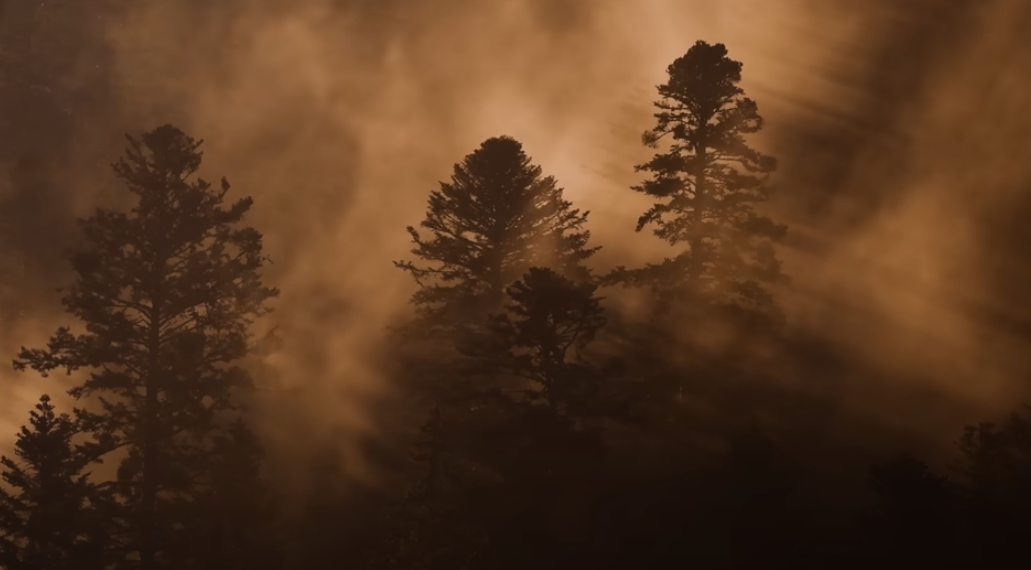 Le chant des forêts au cinéma Rex de Luchon