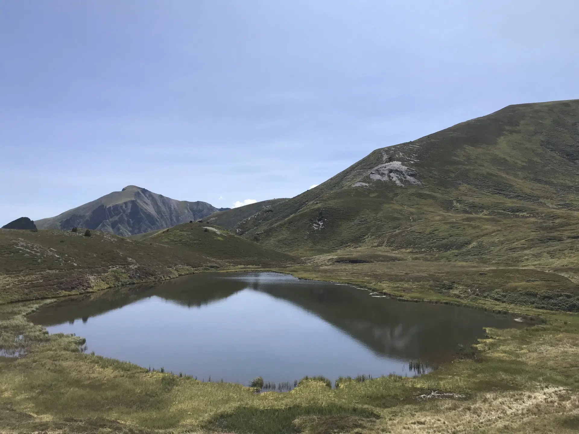 Agenda printemps-été 2026 de l'AREMIP : sorties nature, tourbières et chauves-souris en Comminges et Pyrénées
