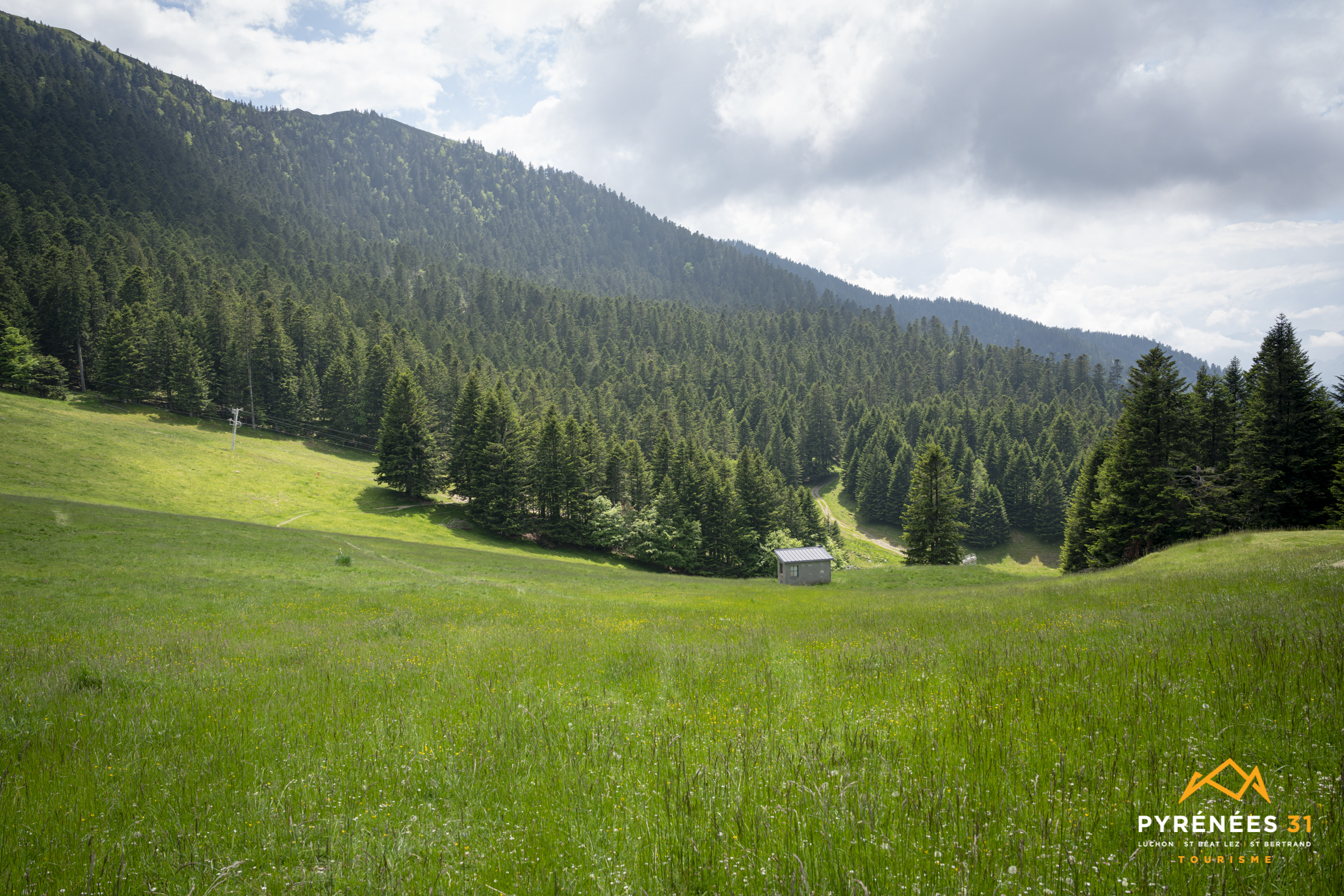 Le Mourtis cet été : 60 ans de convivialité, une saison pour ne pas manquer