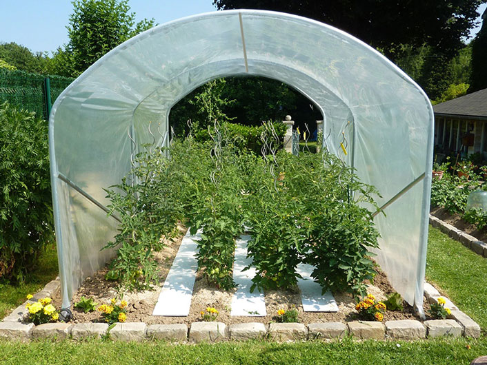 La serre tunnel au jardin de montagne : cultiver autrement à 750 mètres