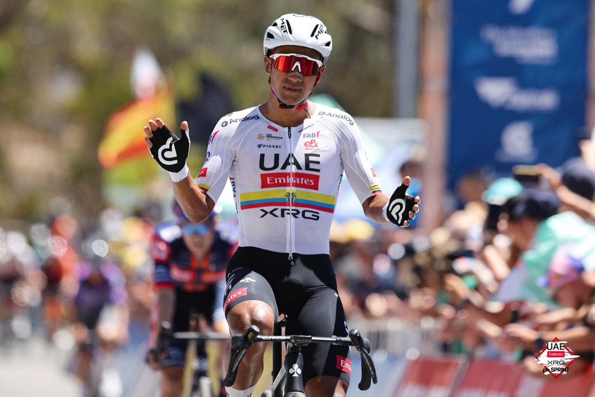 Giro 2026 étape 4 : Jhonatan Narvaez s'impose à Cosenza, Giulio Ciccone nouveau Maillot Rose