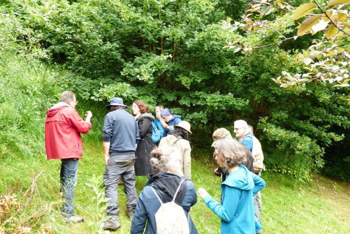 Rendez-vous aux jardins au Jardin Botanique de Melles : ateliers, repas et apéro les 6 et 7 juin 2026