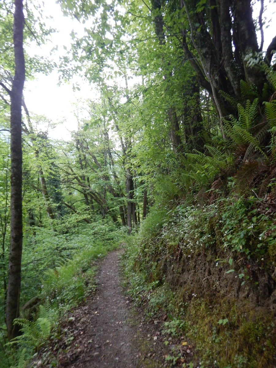 Sur le chemin du Bosquet des Thermes à Luchon