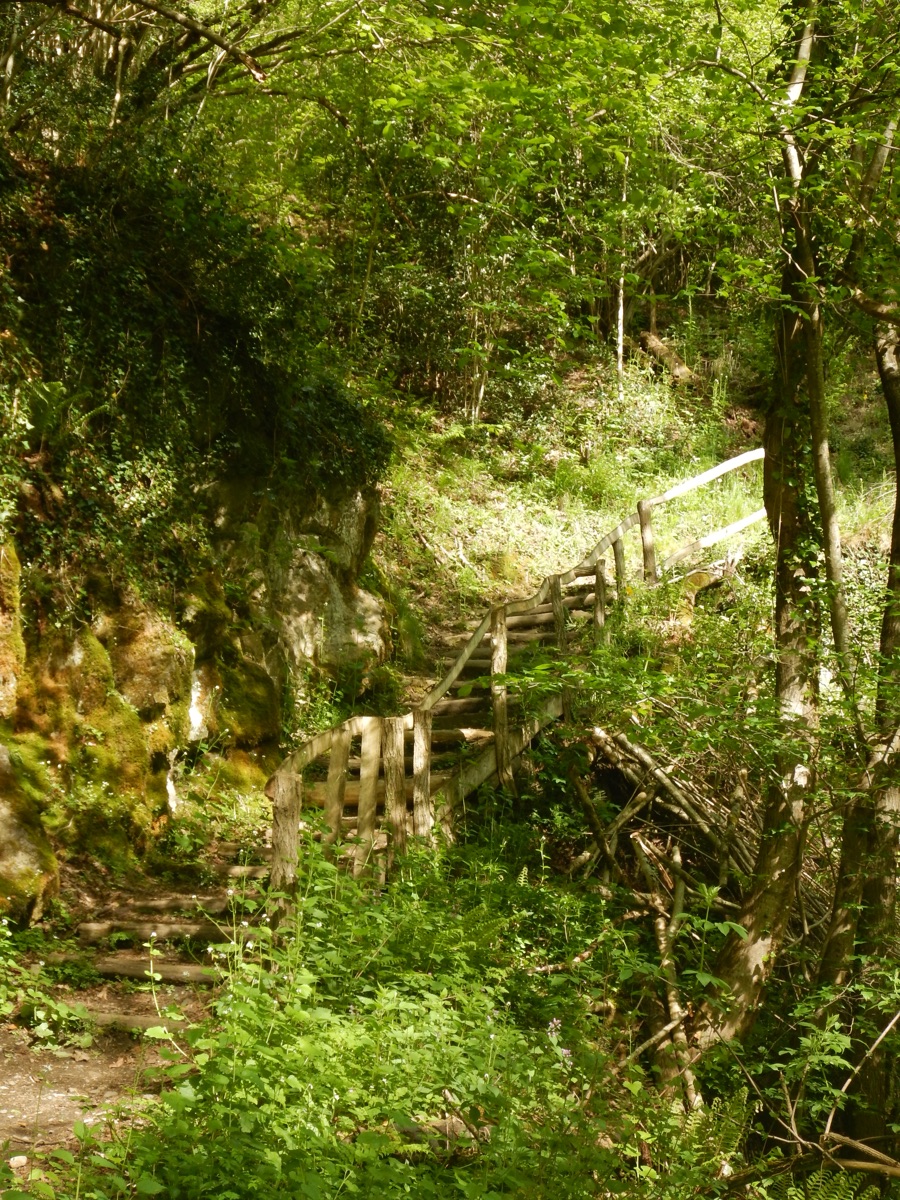 Escaliers en rondins sur le sentier des Granges de Soupère