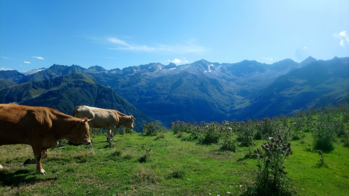 Vue panoramique sur Superbagnères