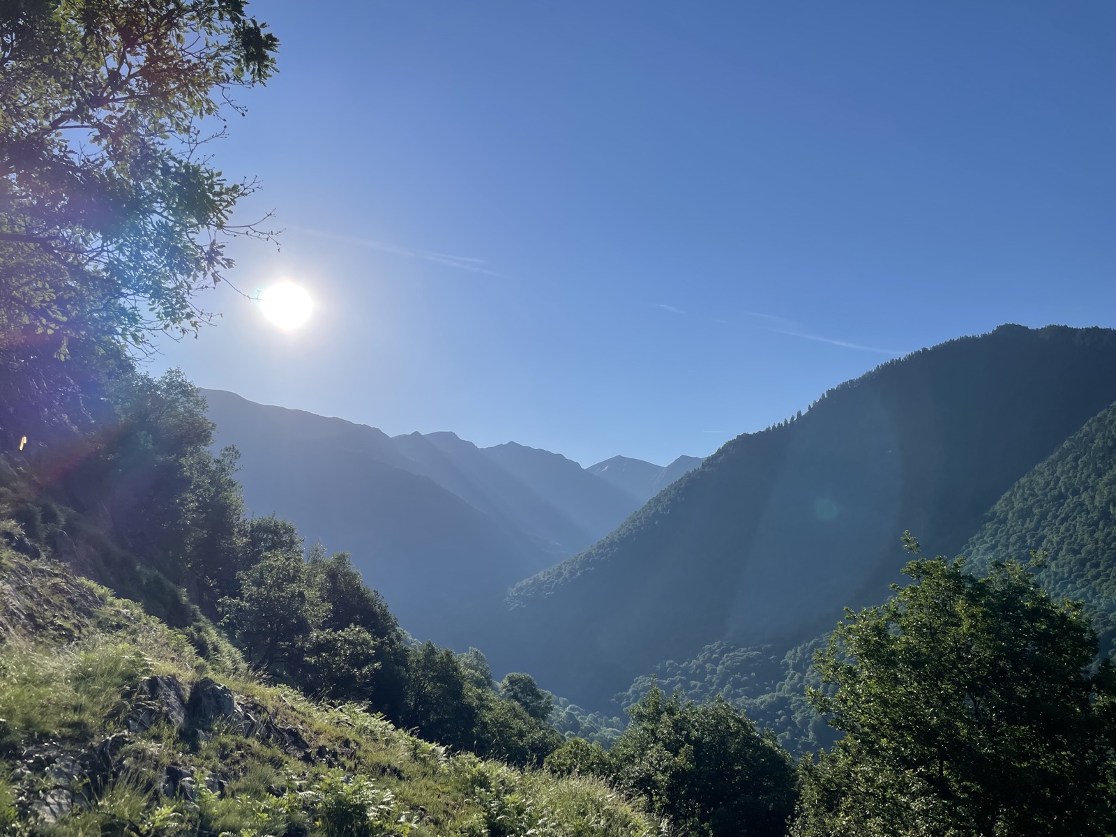 Pic de chaleur mardi 26 mai 2026 (direct) : 8 départements en vigilance orange, 7 décès, jusqu'à 37°C — et les Pyrénées encore épargnées