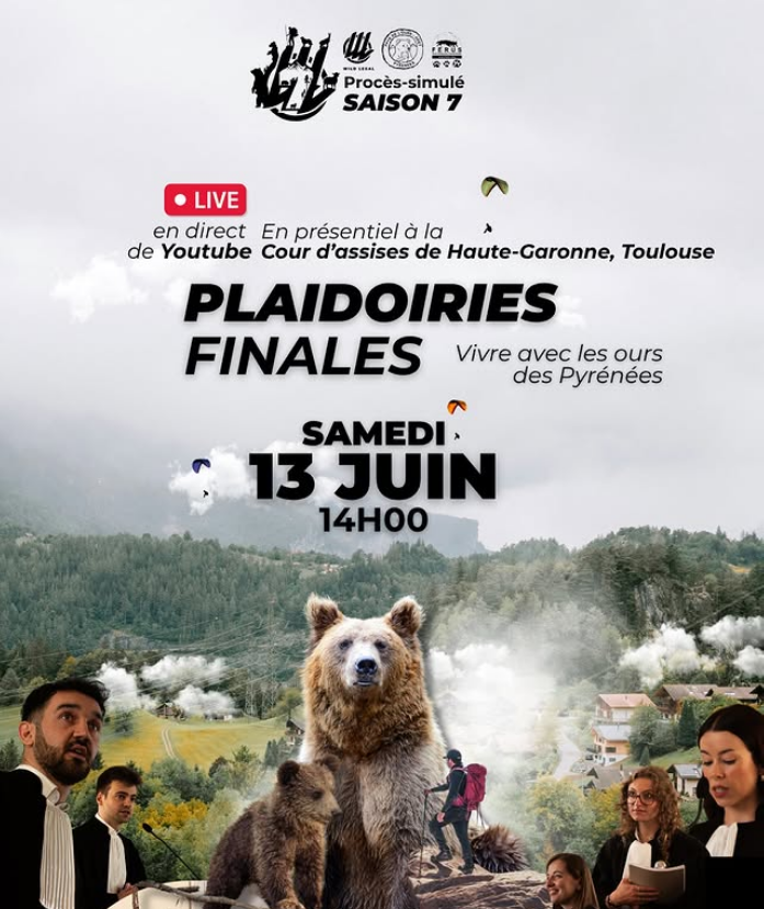 Wild Legal saison 7 ce samedi 13 juin à Toulouse : finale du procès-simulé sur les droits des ours bruns des Pyrénées face aux tirs d'effarouchement, à la cour d'assises de Haute-Garonne et en direct sur YouTube