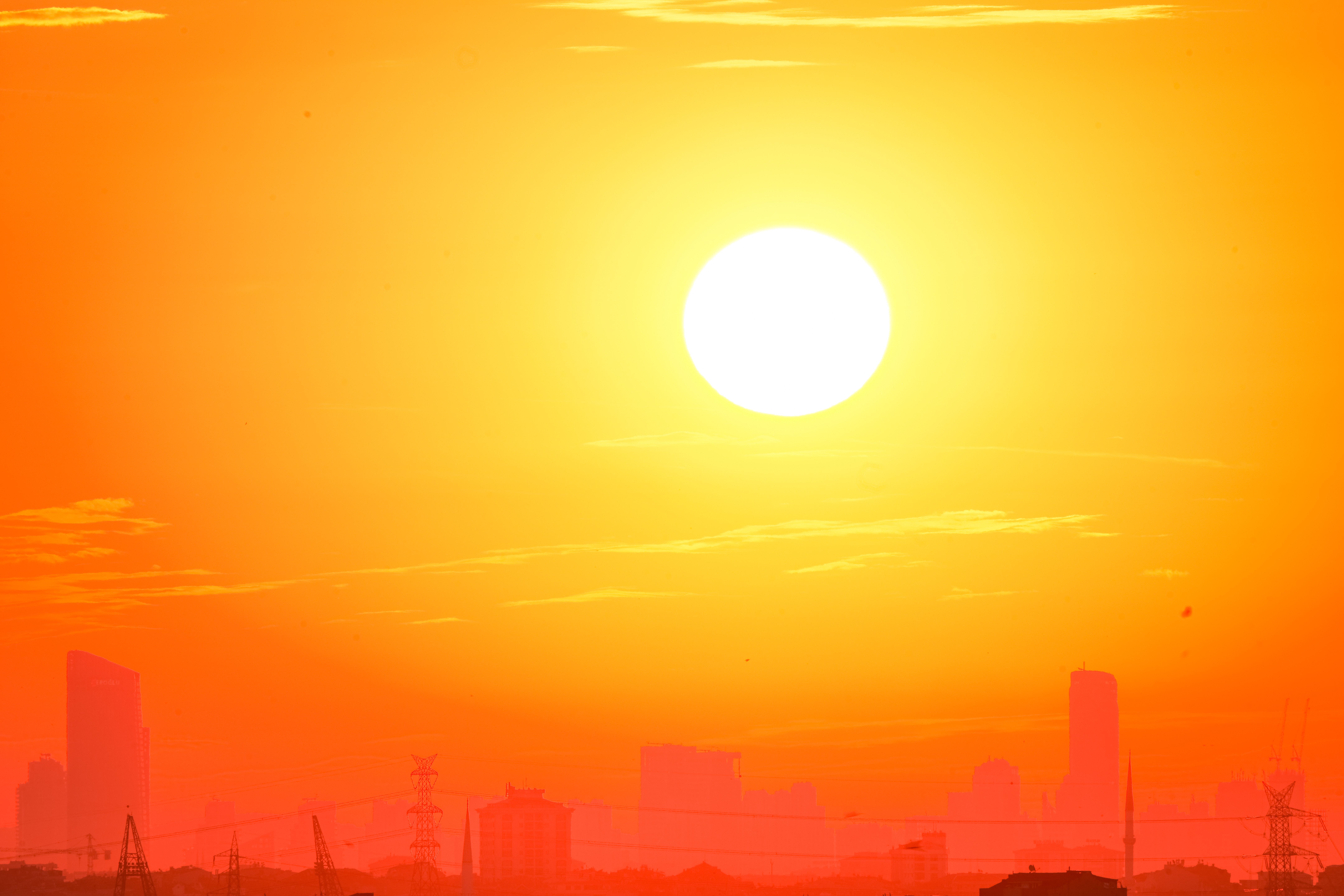 Canicule 2026 : le gouvernement mobilise La Poste, chaos dans les Lidl pour la clim