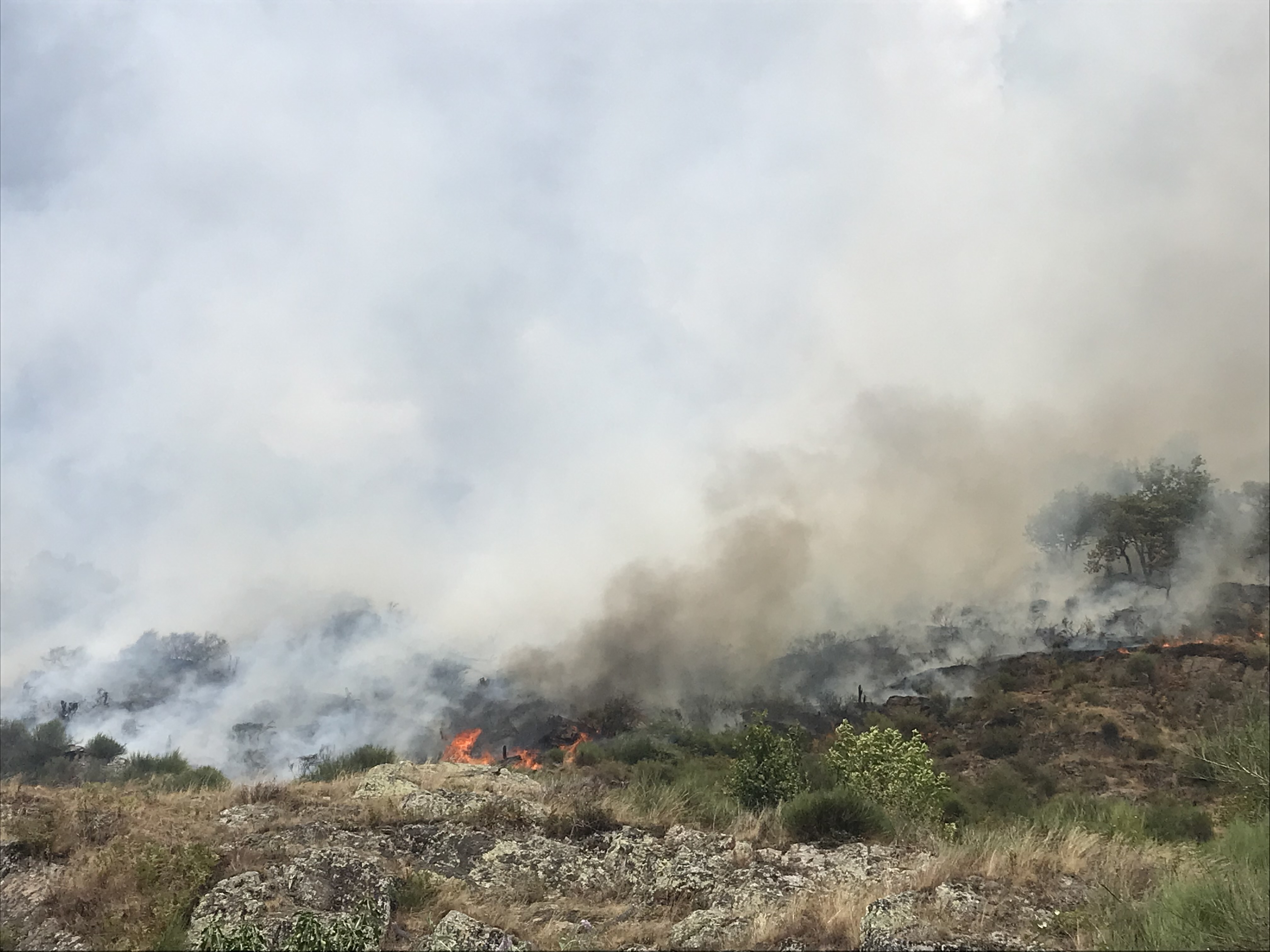 Feu, réchaud et bivouac dans les Pyrénées : ce qu'interdit l'arrêté préfectoral