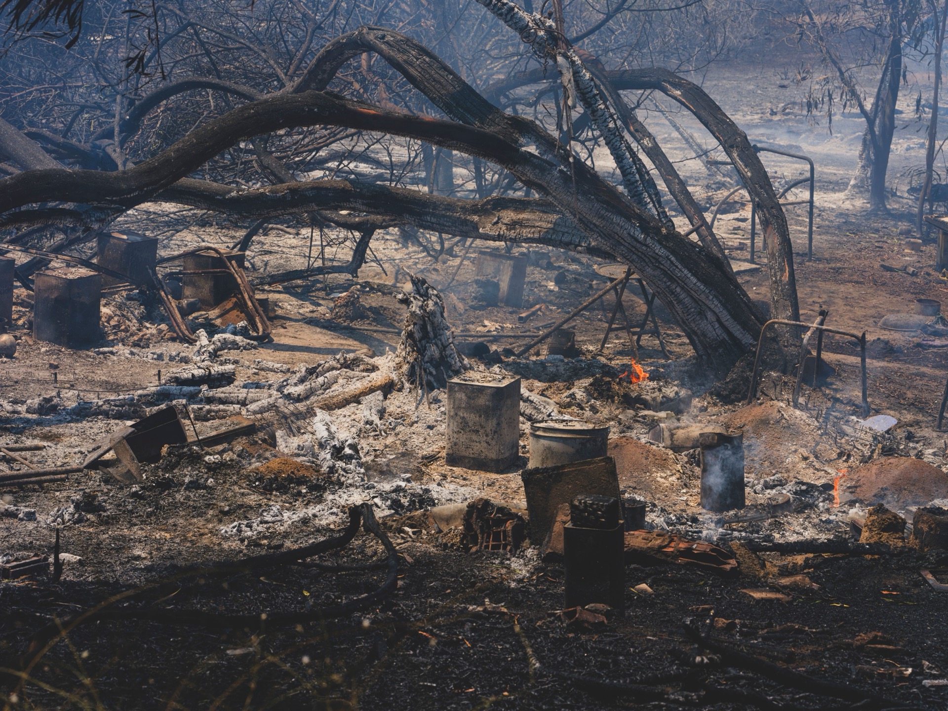 Loi d'urgence agricole : la destruction de la nature à marche forcée