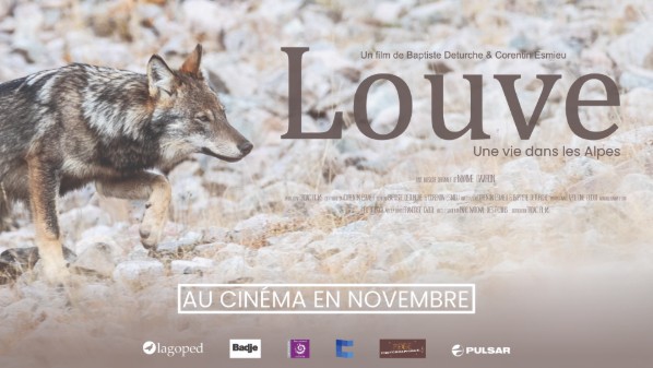 Louve, une vie dans les Alpes : le nouveau film de Baptiste Deturche