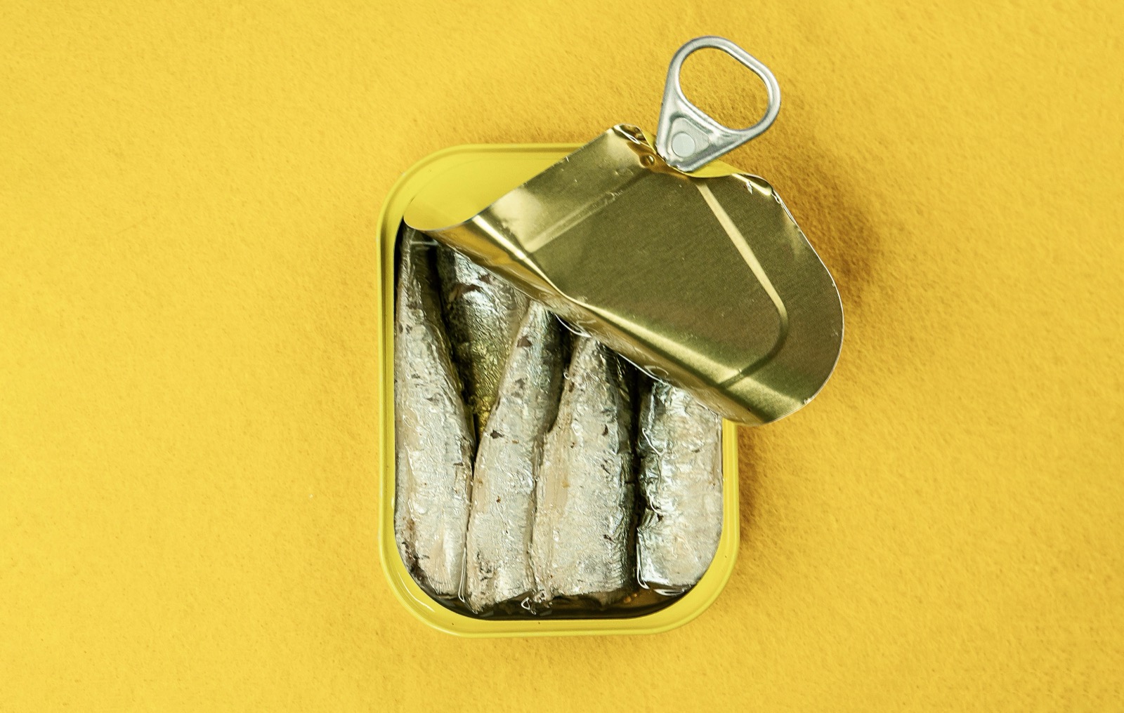 Le grand retour de la sardine, star des réseaux et bientôt en pénurie