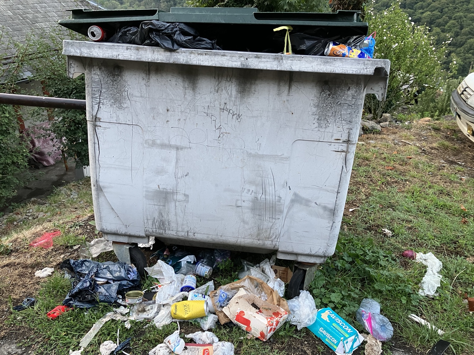 Conteneur qui déborde et détritus éparpillés au sol dans un village de montagne