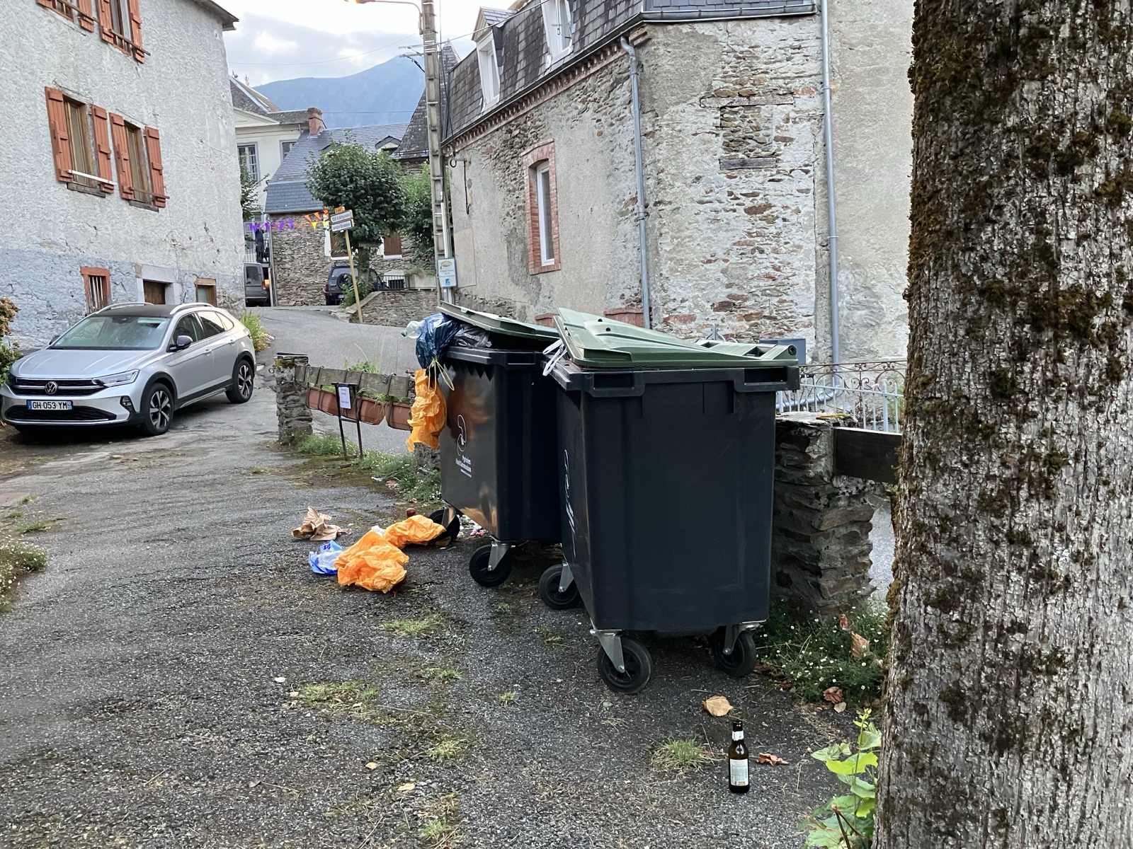 Poubelles pleines et sacs éventrés dans une rue de village