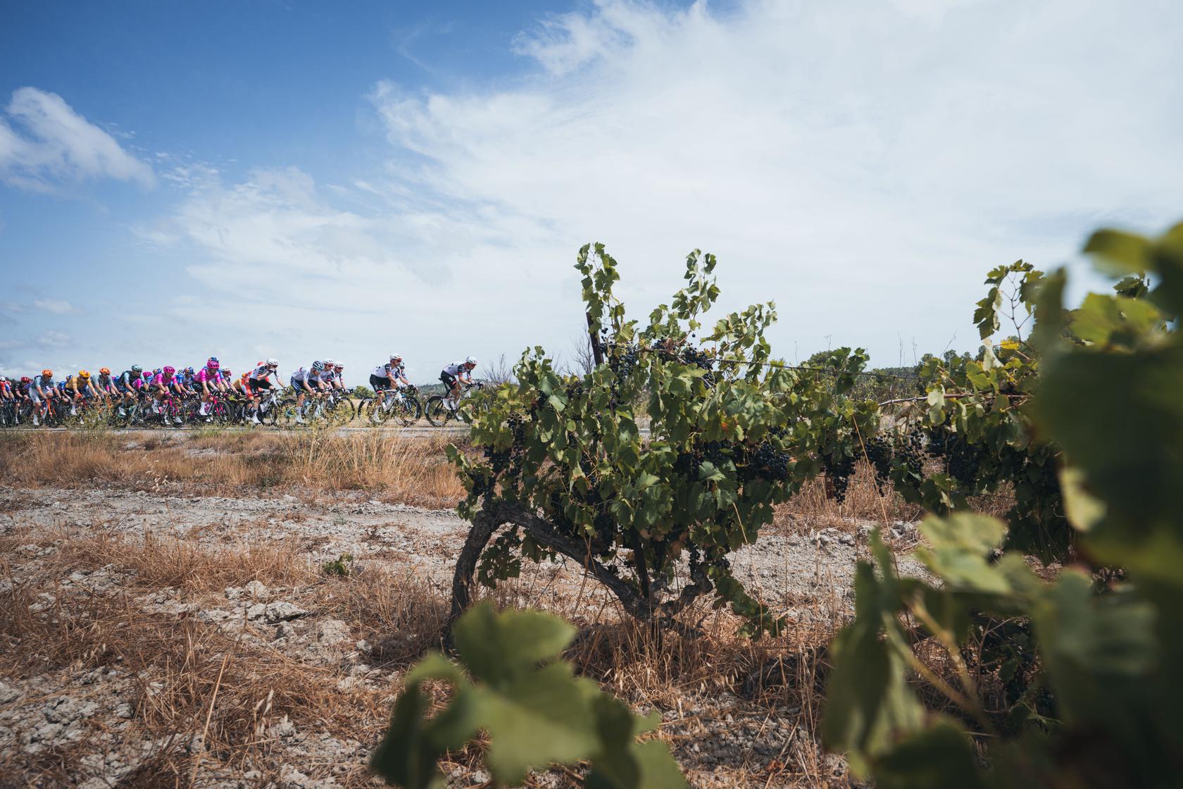 Vuelta 2026 en direct : la 3e étape grimpe vers Font-Romeu
