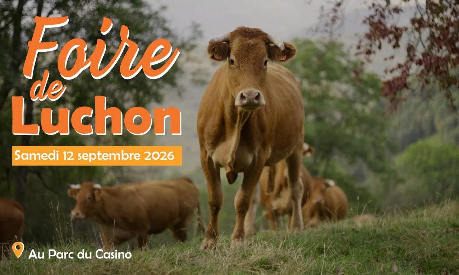 Foire de Luchon 2026 : le rendez-vous du pastoralisme le 12 septembre