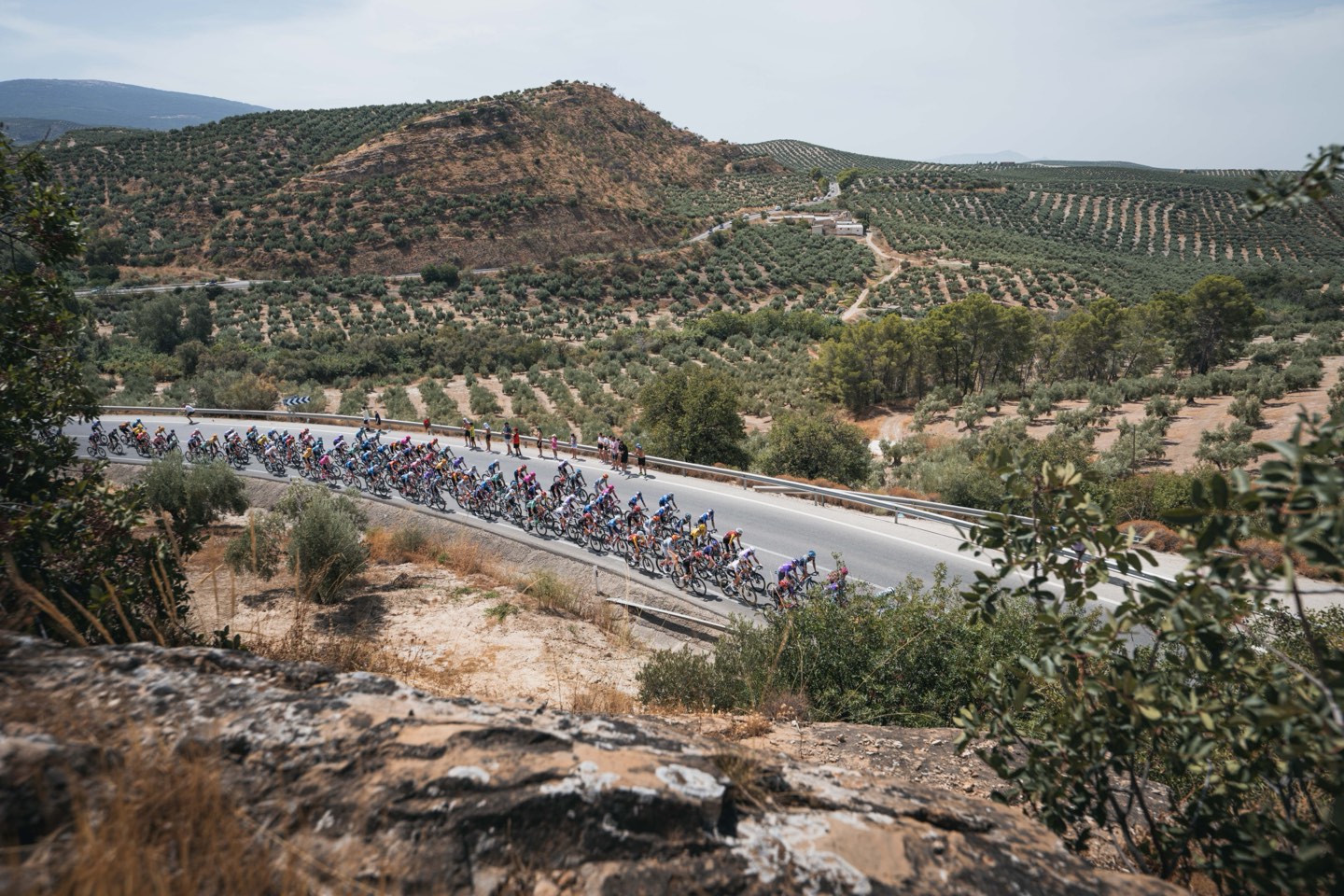 Vuelta 2026 : Marco Brenner s'impose à la Sierra de la Pandera