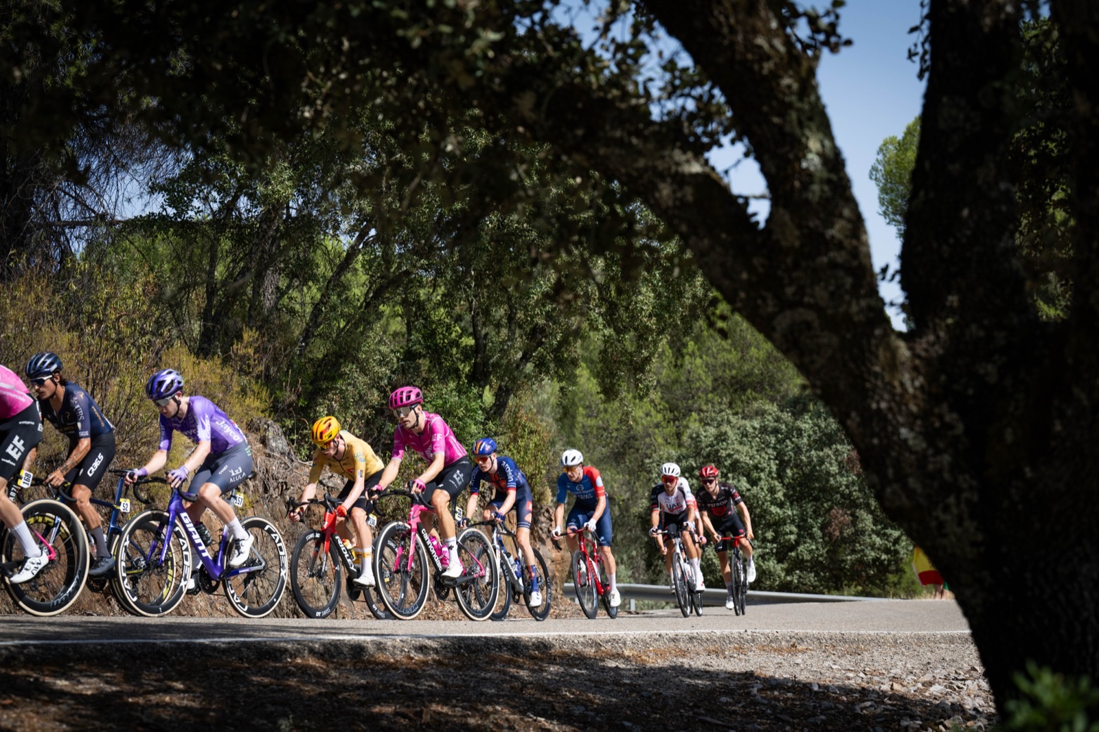 Vuelta 2026 : Matthew Brennan s'impose à La Rábida