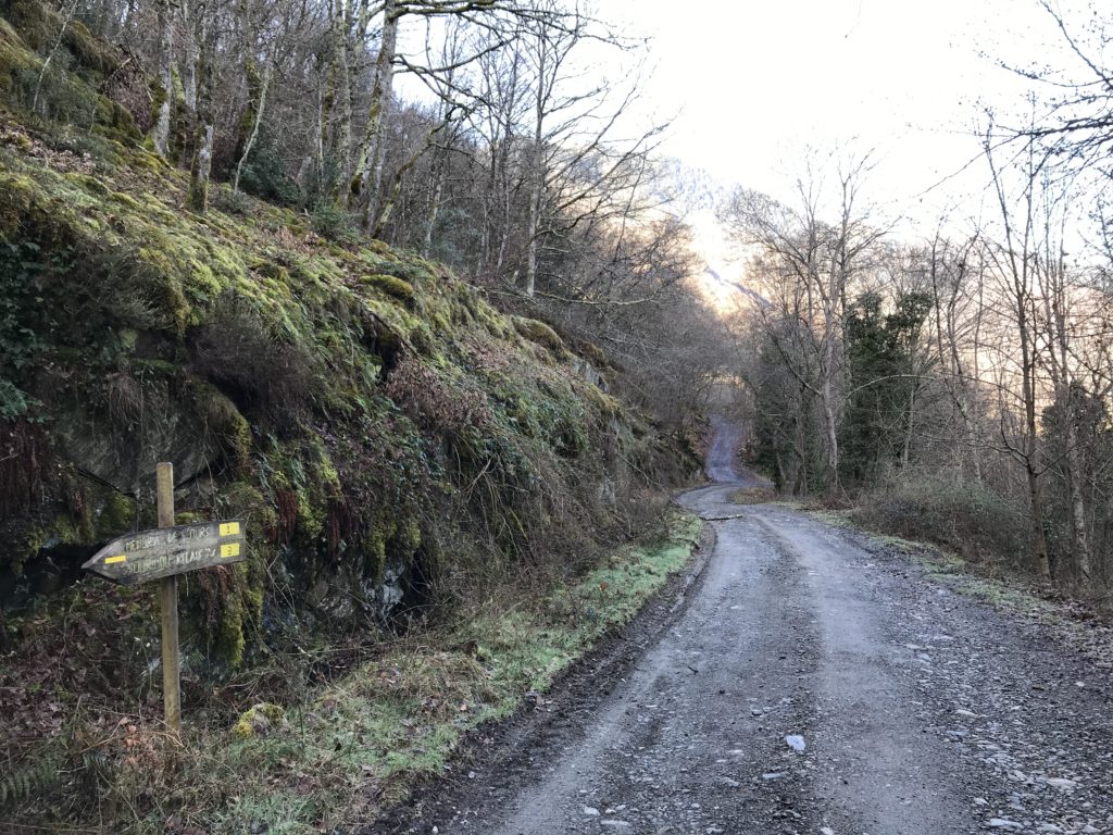 Route forestière vers le mémorial de l'ours