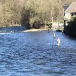 Ouverture de la pêche à Saint-Béat les pieds dans l'eau