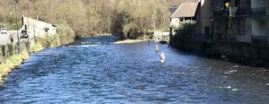 Ouverture de la pêche à Saint-Béat les pieds dans l'eau