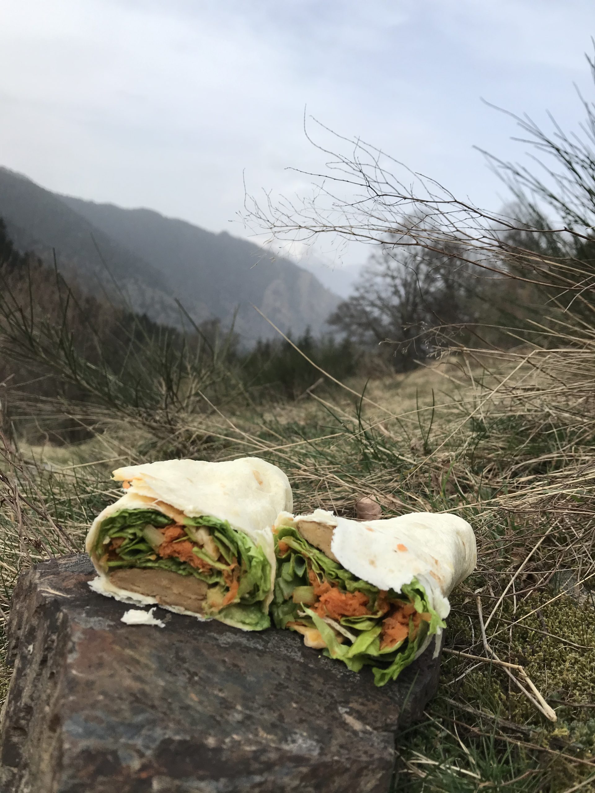 Recette de wrap végétal et bio