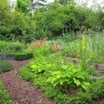 Paillis jardin