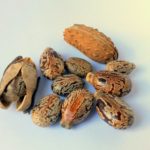 Bioplastique huile de ricin