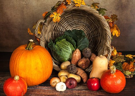 Légumes d'automne bio