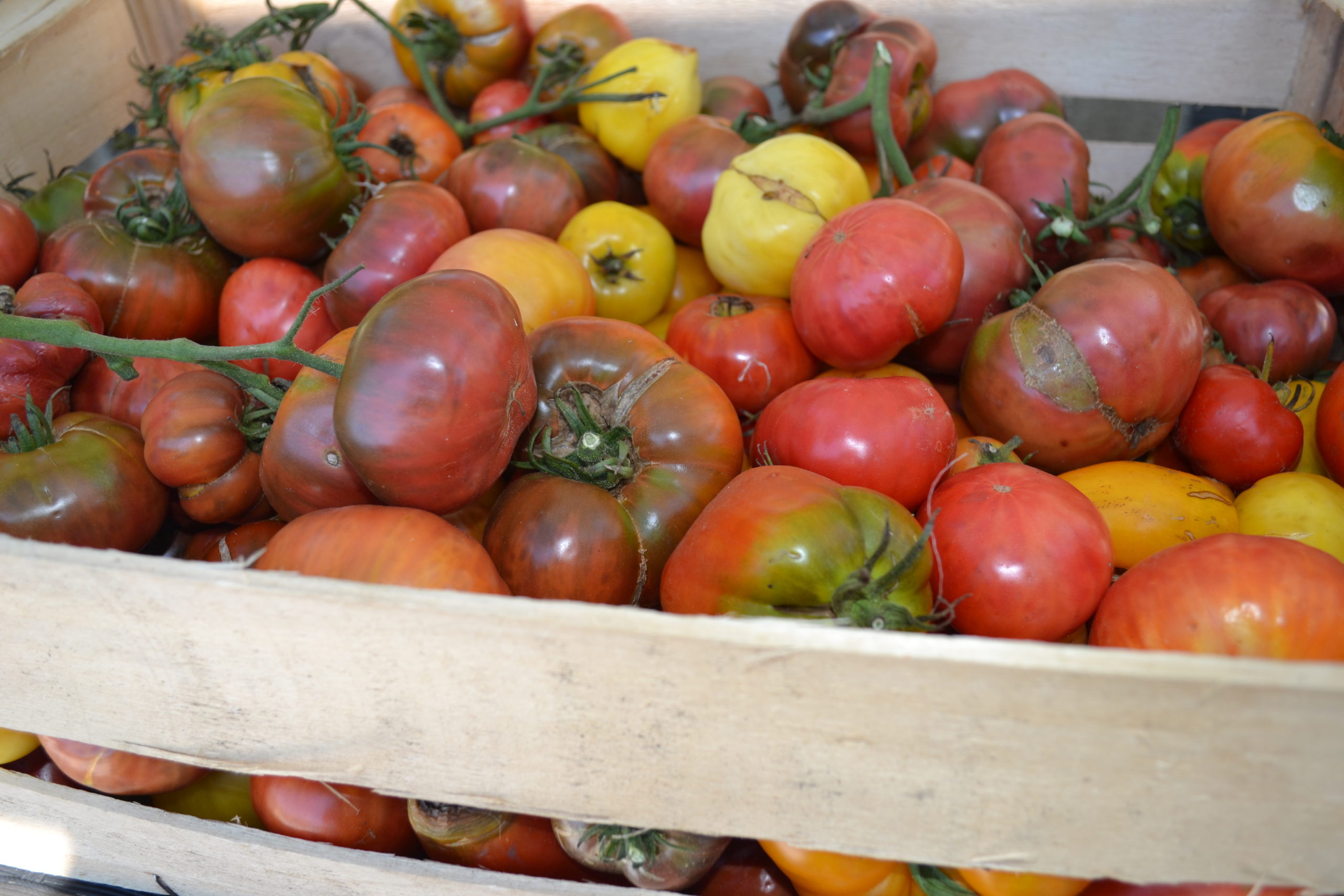 Coulis de tomates maison
