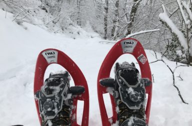 Raquettes à neige TSL 325 Initial