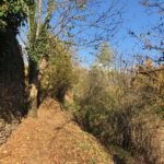 Suivre chemin de l'écologie