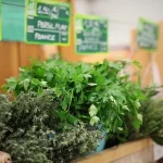 Le Grand marché-Frais d'ici